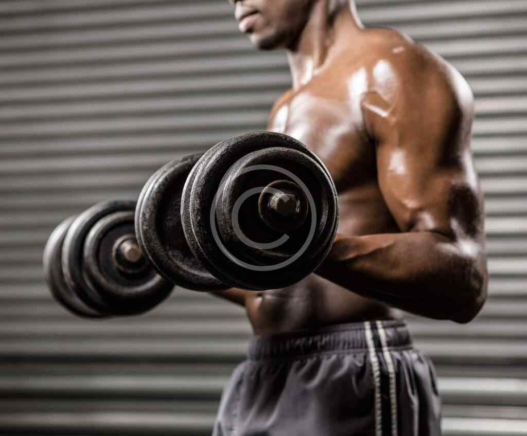 Iron Tribe img 020 copyright