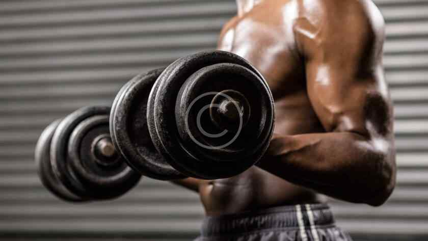 Iron Tribe img 020 copyright