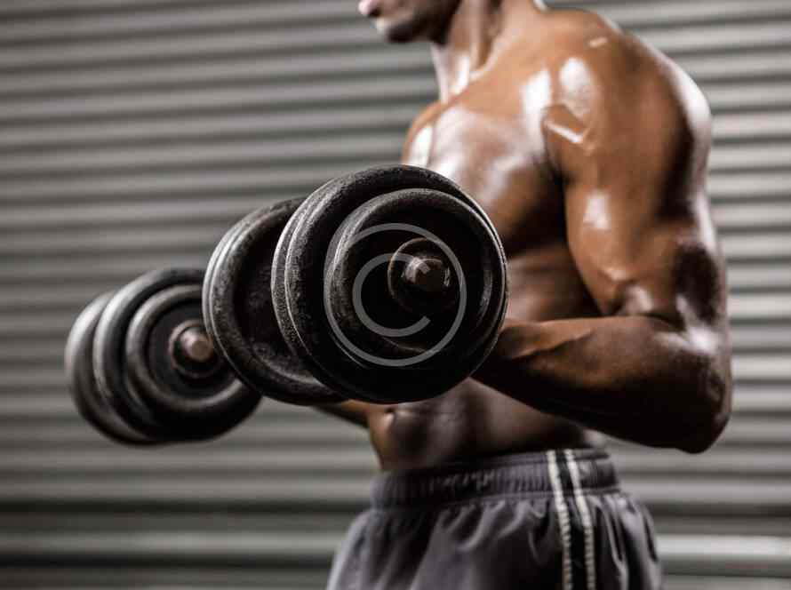 Iron Tribe img 020 copyright